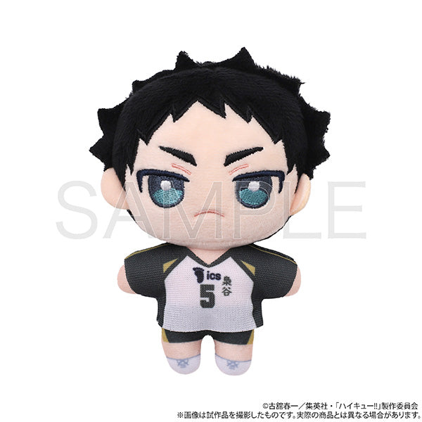 (Goods - Plush) Haikyu!! Nui Pal (Plush) Keiji Akaashi