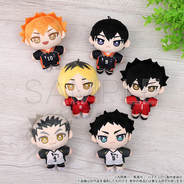 (Goods - Plush) Haikyu!! Nui Pal (Plush) Keiji Akaashi