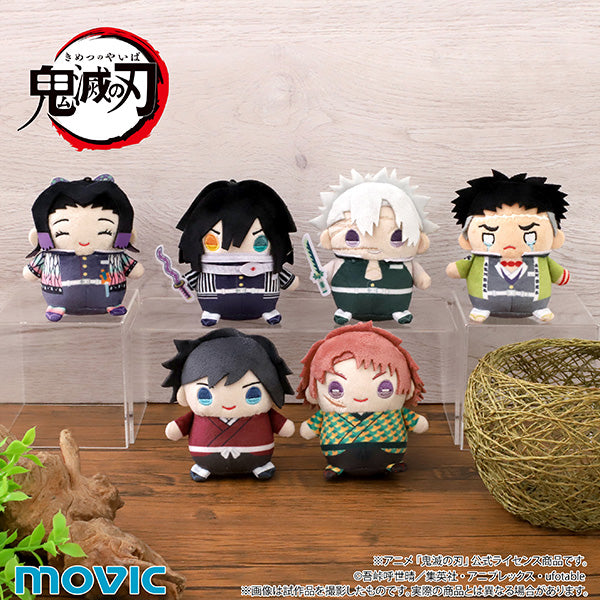 (Goods - Plush) Demon Slayer: Kimetsu no Yaiba MameMate (Plush Mascot) Vol.8 Sabito (Child ver. )