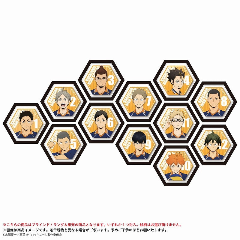 (1BOX=12)(Goods - Magnet) Haikyu!! Hexagonal Mini Canvas Magnet Karasuno HighVer.