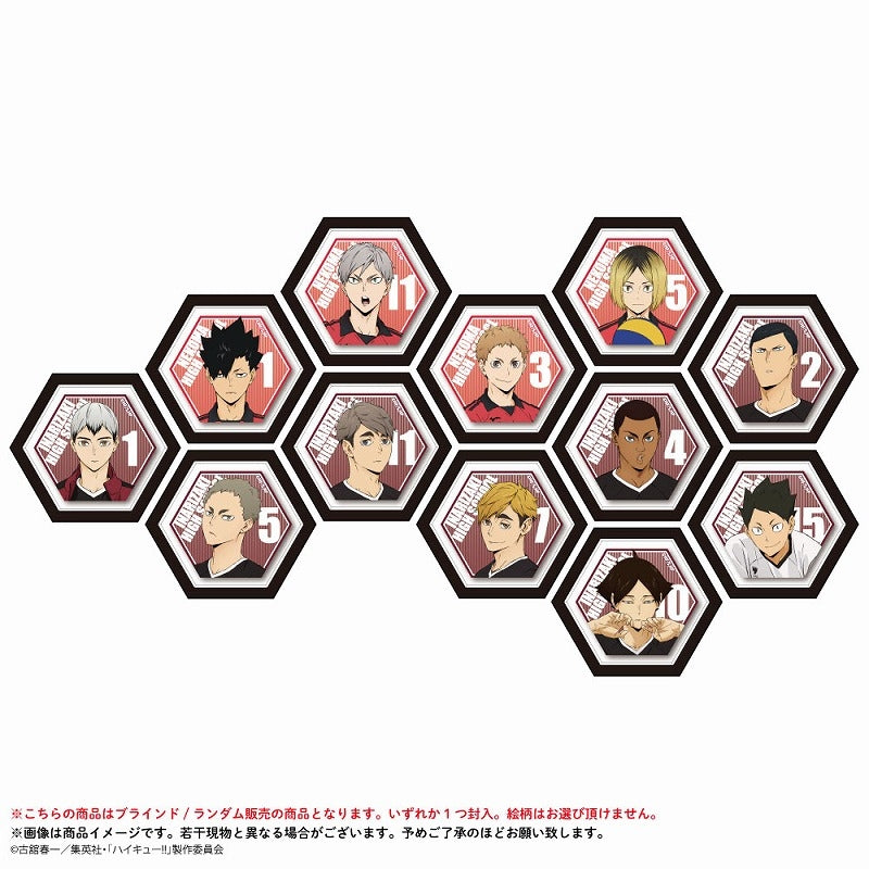 (1BOX=12)(Goods - Magnet) Haikyu!! Hexagonal Mini Canvas Magnet Nekoma High, Inarizaki High Ver.