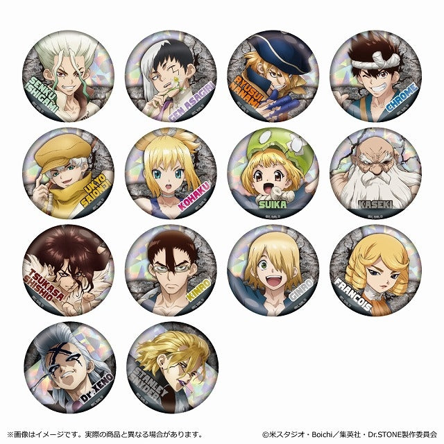 (1BOX=14)(Goods - Badge) Dr. STONE Holographic Button Badge