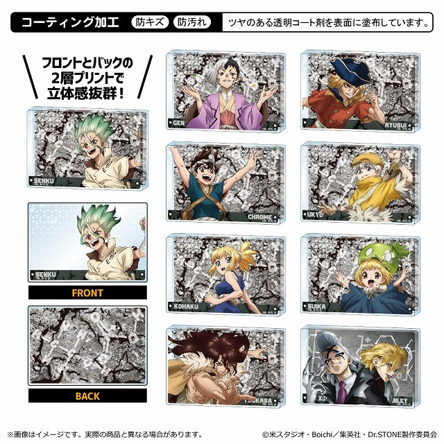 (1BOX=9)(Goods - Ornament) Dr. STONE Mini Acrylic Block