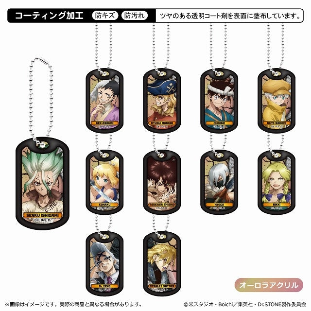 (1BOX=11)(Goods - Key Chain) Dr. STONE Acrylic Dog Tag Key Chain