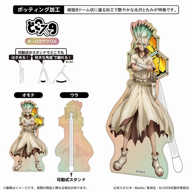 (Goods - Acrylic Stand) Dr. STONE Dokosuta (Iridescent ver.)/Senku Ishigami