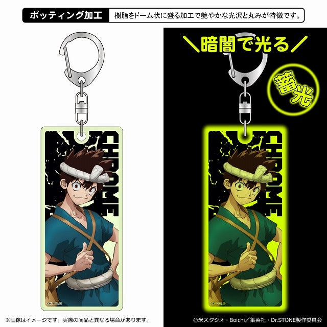 (Goods - Key Chain) Dr. STONE Luminous Acrylic Key Chain/Chrome