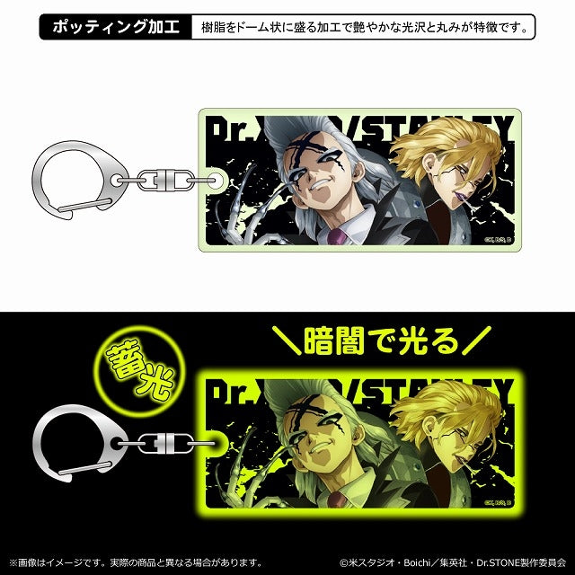 (Goods - Key Chain) Dr. STONE Luminous Acrylic Key Chain/Dr. Xeno/Stanley Snyder