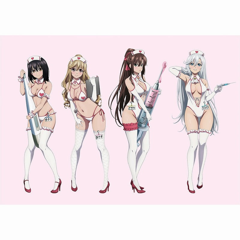 (Goods - Ornament) Strike the Blood Chara Fine Graph feat. Exclusive Art (Nurse Uniform) A4