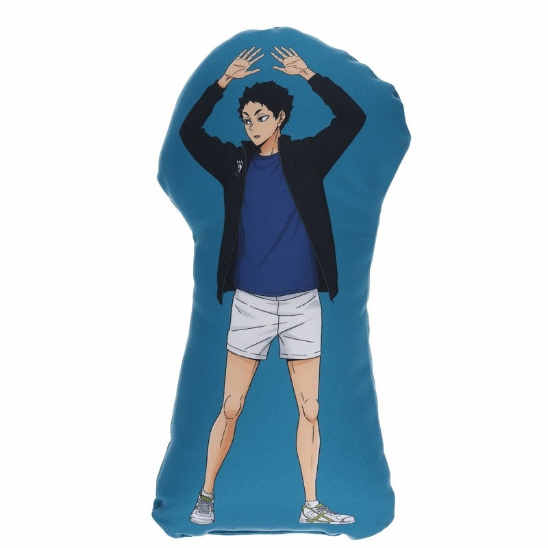 (Goods - Cushion) Haikyu!! Die-cut Mini Cushion (feat. Exclusive Art) Keiji Akaashi