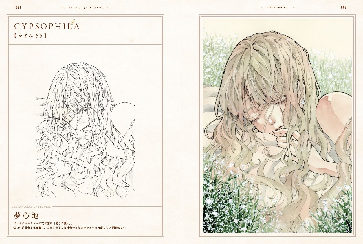 (Book - Art Book) Toaruocha Art Book DOLLS