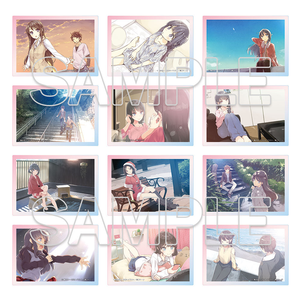 [※Blind](Goods - Bromide) Dengenki Bunko Rascal Does Not Dream Series 10th Anniversary Tradable Aurora Acrylic Cards